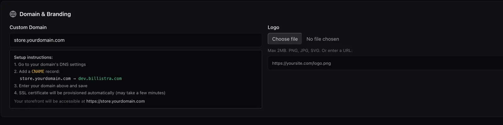 The Domain and Branding section showing a custom domain field with step-by-step DNS setup instructions for a CNAME record, and a logo upload field